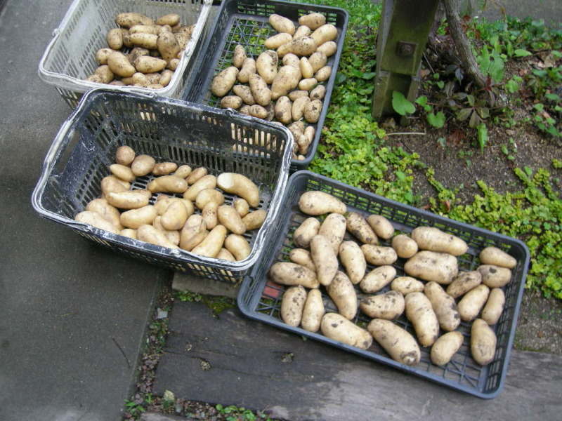 ま ちゃんのポタゼ